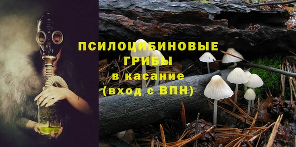 а пвп мука Елабуга