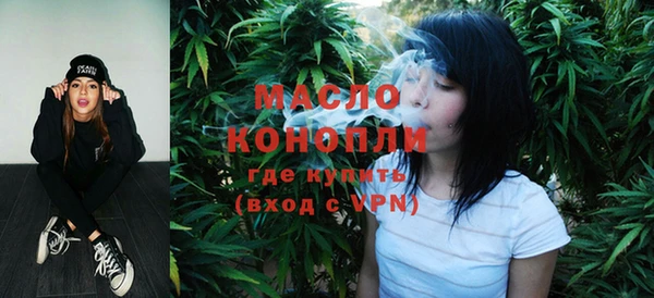 кокс Ельня