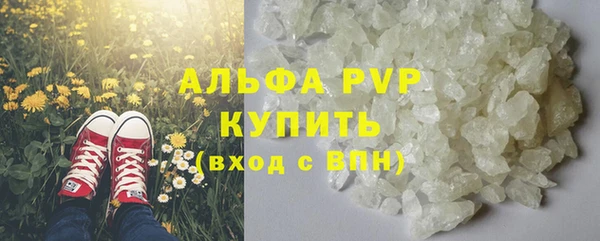 spice Бикин