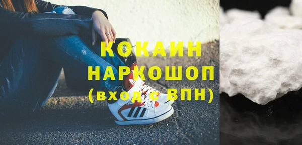 spice Бикин