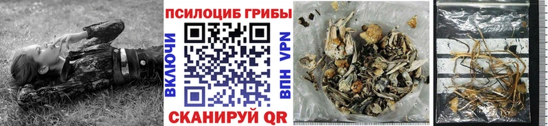 наркошоп  Зарайск  Псилоцибиновые грибы прущие грибы 